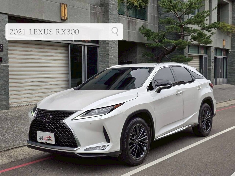 2021 Lexus RX 300豪華版